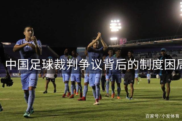 中国足球裁判争议背后的制度困局：河南队申诉被罚事件透视